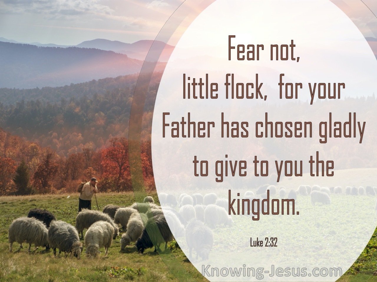 Luke 12:32 Fear Not Little Flock (brown)